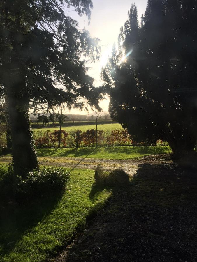 Hotel Ballyrider House Inch Cross Esterno foto