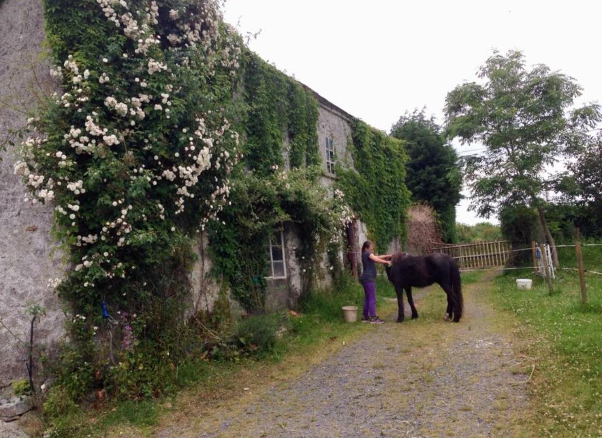 Hotel Ballyrider House Inch Cross Esterno foto